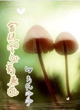 密丛深处有磨菇
